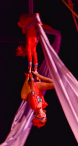 Aerial Silks Duet